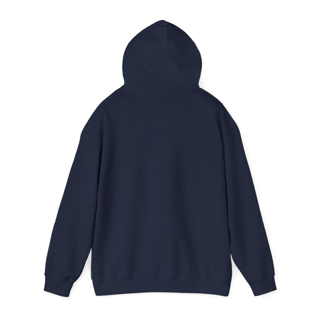 Faith Family Freedom Hoodie | Faith-forward Patriotic, Vintage Americana
