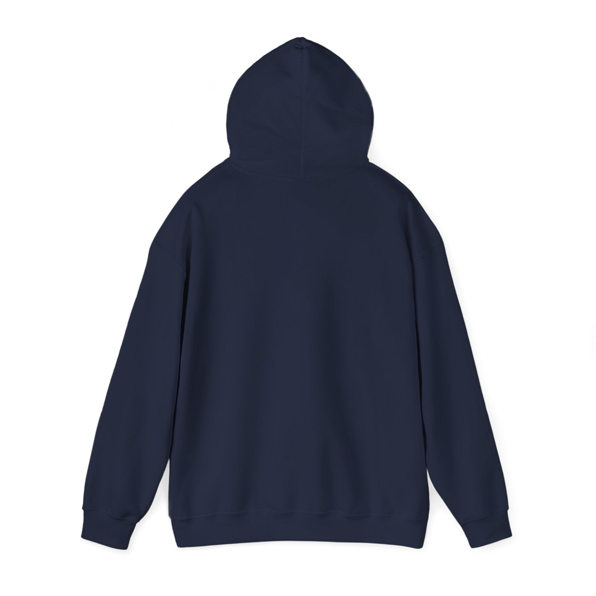 Faith Family Freedom Hoodie | Faith-forward Patriotic, Vintage Americana