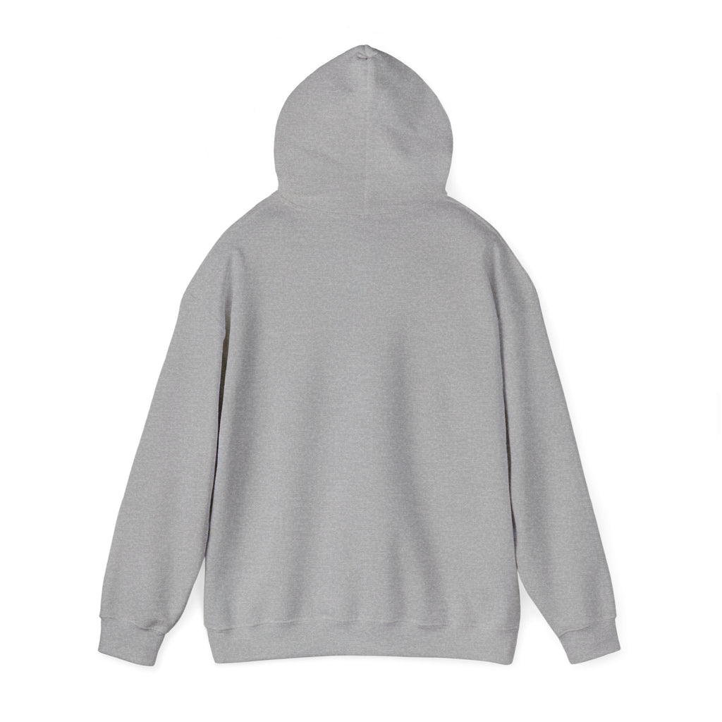 Faith Family Freedom Hoodie | Faith-forward Patriotic, Vintage Americana