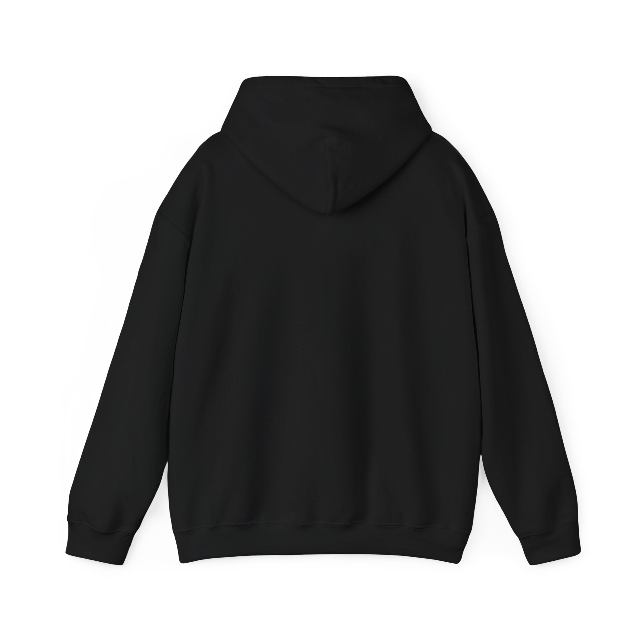 Faith Family Freedom Hoodie | Faith-forward Patriotic, Vintage Americana
