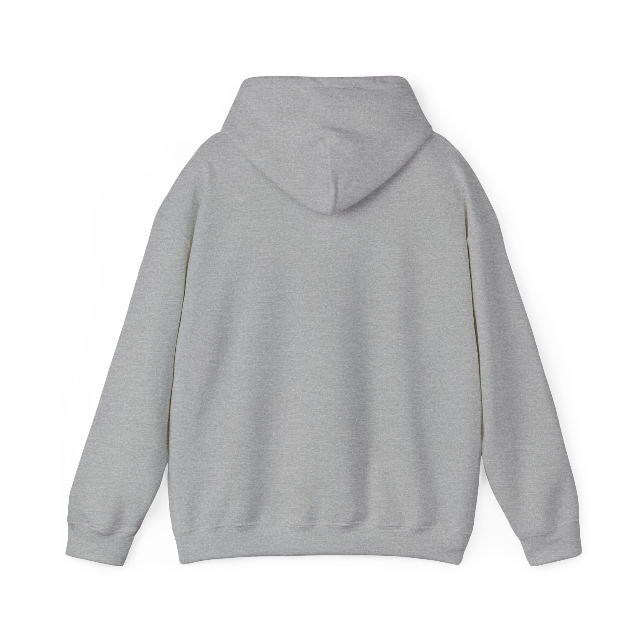 Faith Family Freedom Hoodie | Faith-forward Patriotic, Vintage Americana