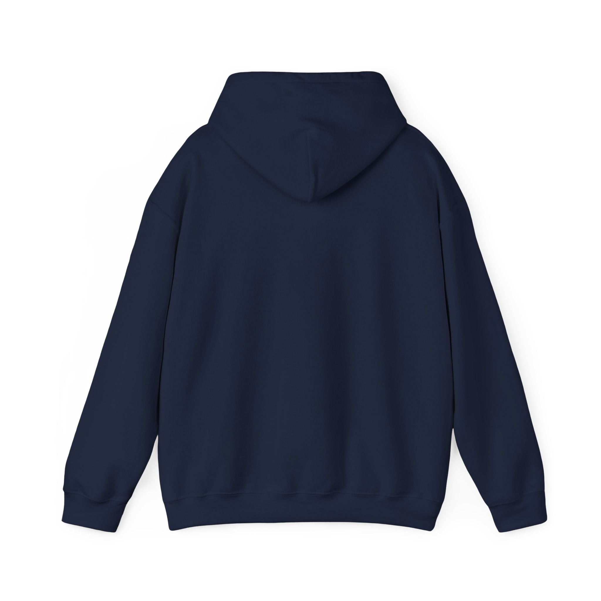 Faith Family Freedom Hoodie | Faith-forward Patriotic, Vintage Americana